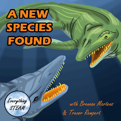 A New Species Found A New Species Found
