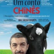Prof.ª Dr.ª  Mara Baroni - Cinema e Psicanálise