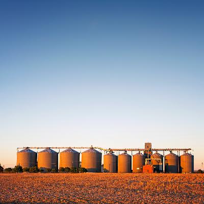 S7 Ep5: African agriculture's underappreciated supply side