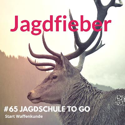 #65 Einstieg Waffenkunde