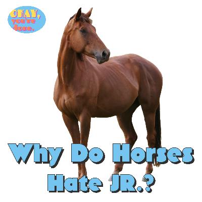 Why Do Horses Hate JR.?