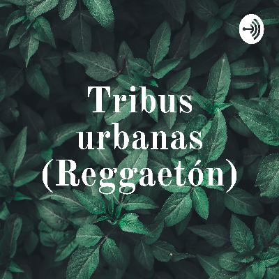Tribus urbanas ( Reggaetoneros)