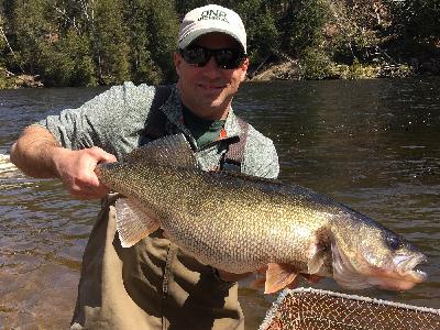 S2 Ep. 13: Mark Tonello Fisheries Biologist S2 Ep. 13: Mark Tonello Fisheries Biologist