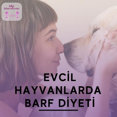 Evcil Hayvanlarda BARF Diyeti