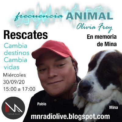 FRECUENCIA ANIMAL 20 CON OLIVIA FREY, RESCATES, EN MEMORIA DE MINA