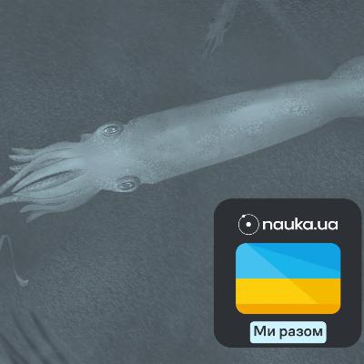 [Ми разом] Найдавнішого предка восьминогів запідозрили у володінні десятьма щупальцями