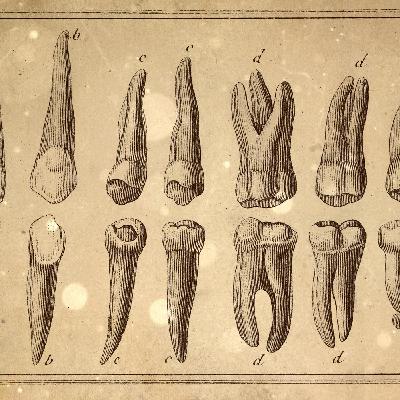 Loremen S6Ep43 - The Penzance Poisoner