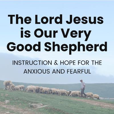 The Lord Jesus is Our Very Good Shepherd | Psalm 123 | Instruction and Hope for the Anxious & Fearful - Part 5 The Lord Jesus is Our Very Good Shepherd | Psalm 123 | Instruction and Hope for the Anxious & Fearful - Part 5