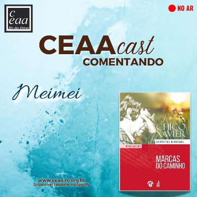 CEAAcast Comentando Meimei | Compaixão e Vida