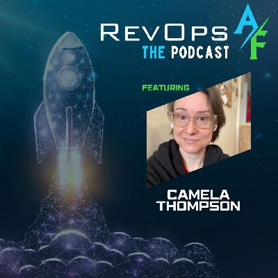 RevOps Consultant Red and Green Flags