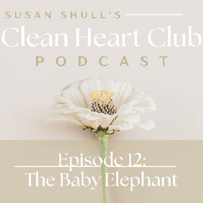 The Baby Elephant The Baby Elephant