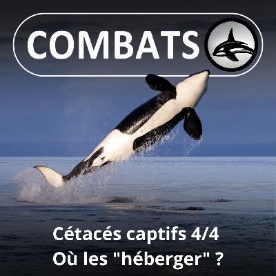 S05E59 Cétacés captifs en France 4/4 : Où et comment les "héberger" ?