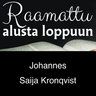 Johanneksen evankeliumi - Saija Kronqvist