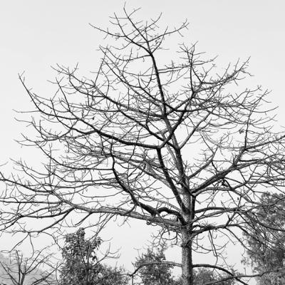 First Podcast - Attaining Nirvana