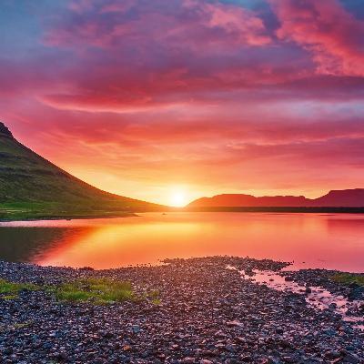 El conejito soñador