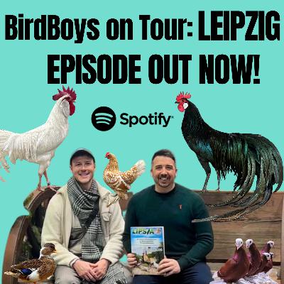 BirdBoys on Tour: Leipzig!