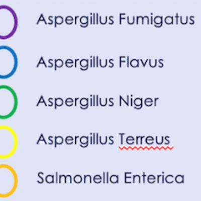 Aspergillus Testing Now Required in Colorado Cannabis Aspergillus Testing Now Required in Colorado Cannabis