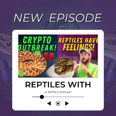 Crypto Outbreak, Snakes Abandoned, & Study Suggests Reptiles Feel Emotions | Reptiles With Podcast