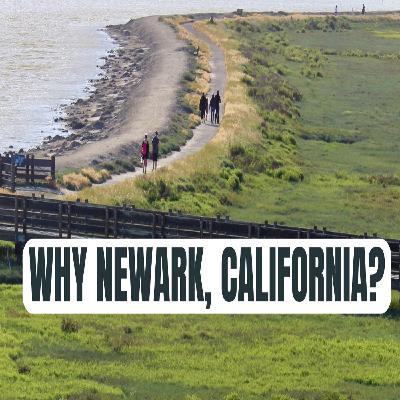 Living in Newark CA — Starter Homes Near Meta, Tesla, and Stanford!