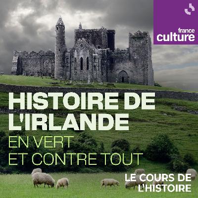 Histoire de l'Irlande, en vert et contre tout  2/4 : Quand les Anglais colonisent l'Irlande, la rose contre le trèfle