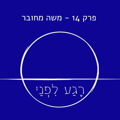 פרק 14 - משה מחובר