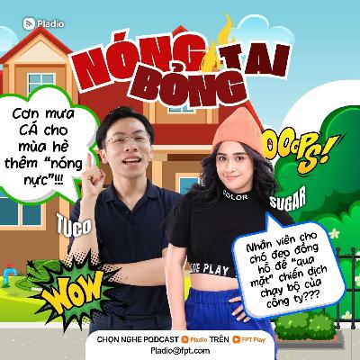 #261: Cho chó đeo đồng hồ để “qua mặt” chiến dịch chạy bộ của công ty???