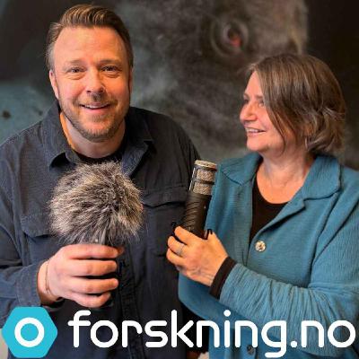 Hvem er egentlig de som tror de har blitt syke av flått? Hvem er egentlig de som tror de har blitt syke av flått?