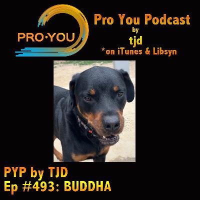 #493 BUDDHA