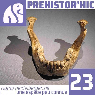 Homo heidelbergensis une espèce peu connue