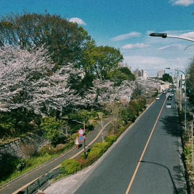#15 静寂と緑、いい店の街。国分寺の4年半を抱きしめて