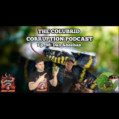 Breeding Boiga & Moving a Large Collection | The Colubrid Corruption Podcast | Ep. 98