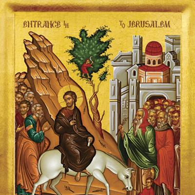 Homily for Flowery Palm Sunday-04-10-2022