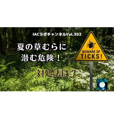 epi.121【マダニ注意報⚠️】　夏の草むらに潜む危険！対処法は？