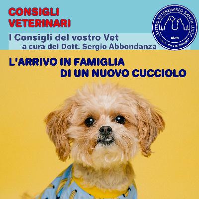 14 - L'arrivo di un nuovo cucciolo