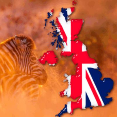 The Kruger for UK tourists: All You Need to Know Before Travelling
