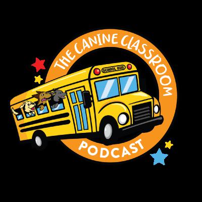 Ep 30- Are Medical Issues & Pain Really Causing Behavior Problems?