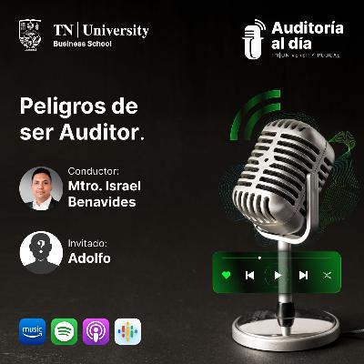 14 - Los Peligros de ser Auditor