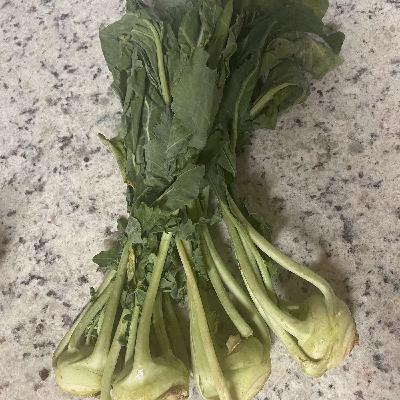 Have You Tried Kohlrabi?