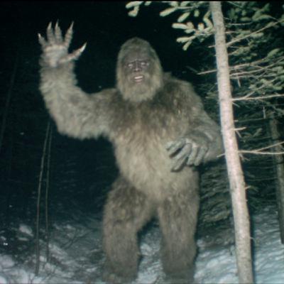 WARNING: Stay Far Away From the Great Smoky Mountains National Park (Horror Story)