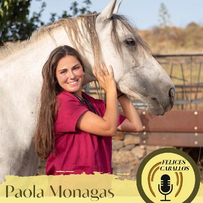 El Bienestar equino en las Islas, una verdad incómoda