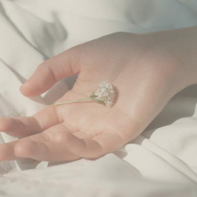 11-Minute Grounding Somatic Meditation for Stress Relief | Resting in Stillness 11-Minute Grounding Somatic Meditation for Stress Relief | Resting in Stillness
