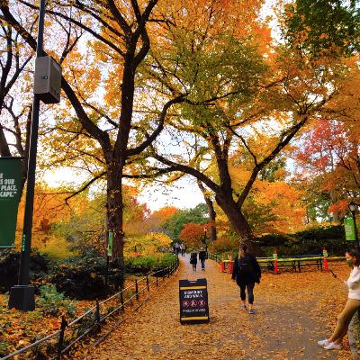 紐約生活日誌Plog-Central Park紐約中央公園 ft. 小山貓