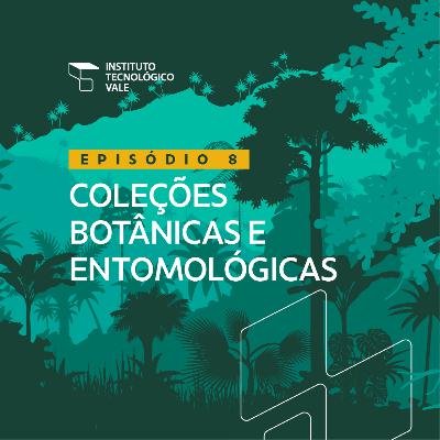 Coleções botânicas e entomológicas