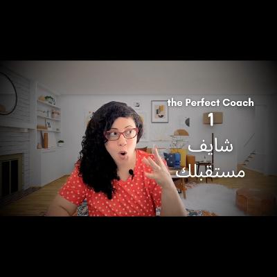 221. Visionary : the Perfect Coach