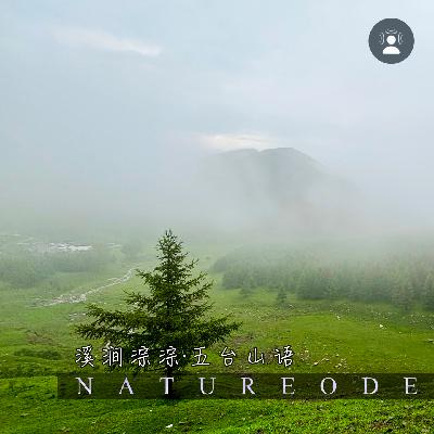 溪涧淙淙·五台山语