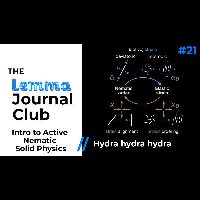 Introduction to Active Nematic Solid Physics// Hydra hydra hydra [21]