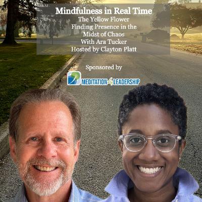 The Yellow Flower: Mindfulness in the Midst of Chaos with Ara Tucker