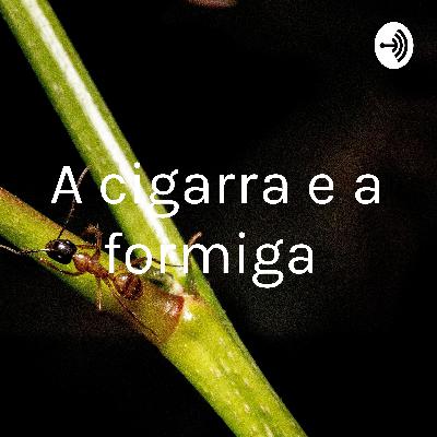 Nova história da cigarra e a formiga