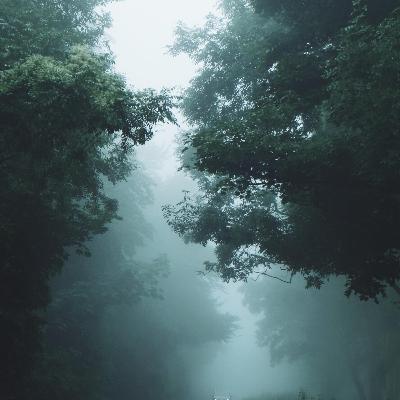 The Corona Scare The Corona Scare