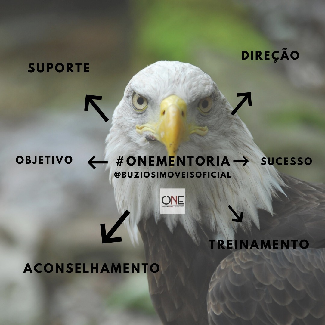 VONTADE poder transformador